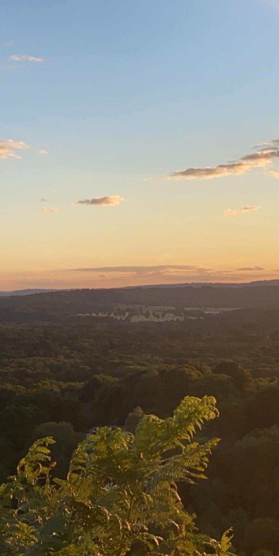 Вилла The Tool Shed Nestled In Idyllic Countryside Linchmere Экстерьер фото